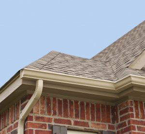 All About Gutters!