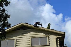 Local Roofer in Columbia, Maryland