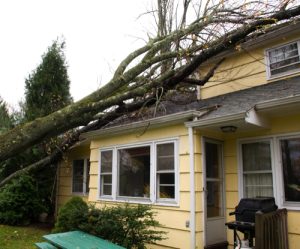 Storm Damage Repairs in Anne Arundel County, Maryland